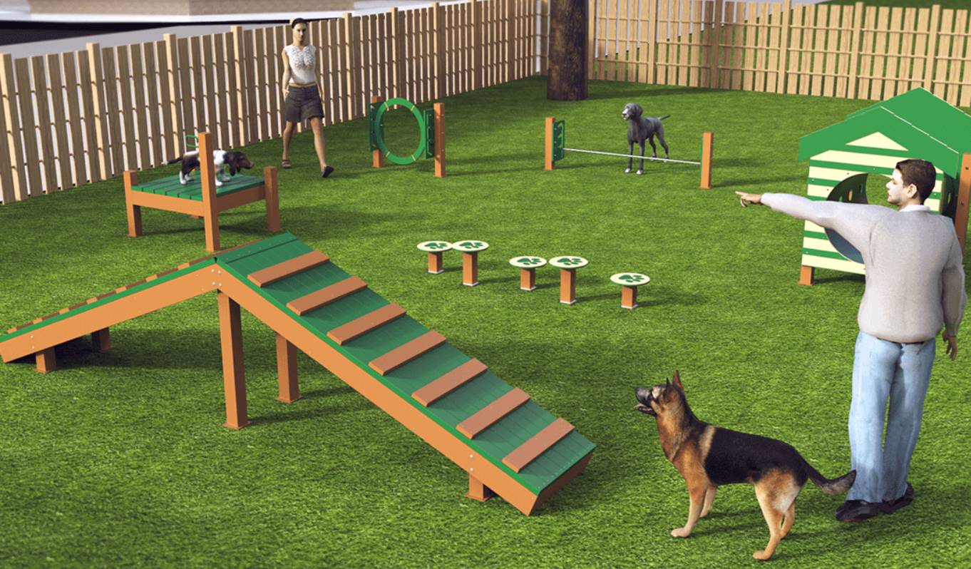 How to Build a Backyard Obstacle Course for Your Dog